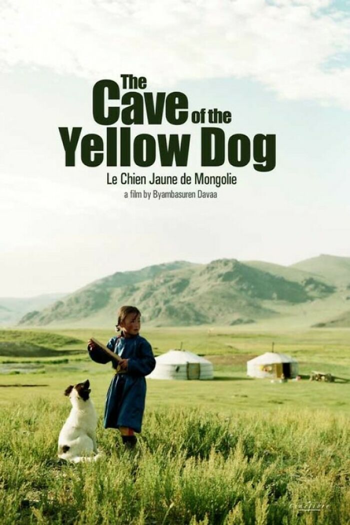  The Cave Of The Yellow Dog