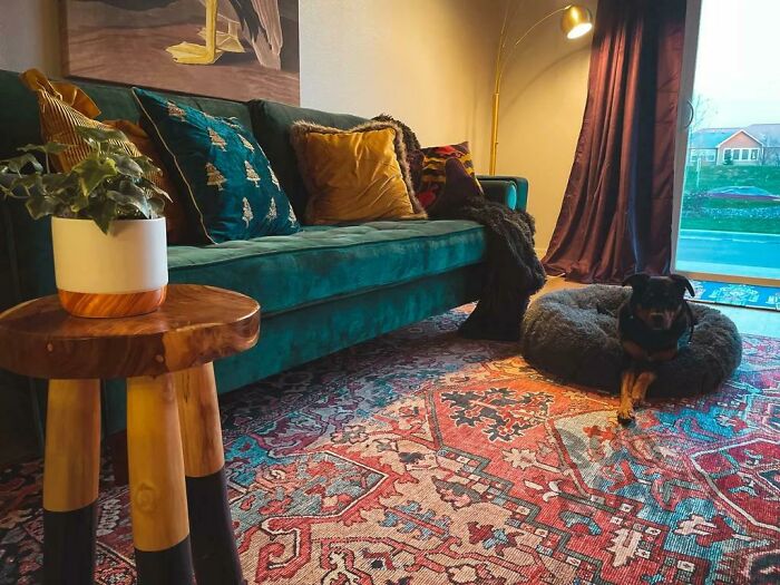 I Just Moved Into My Rental A Few Weeks Ago From My House That Was Almost All-White. I Wanted To Try Color For A Change