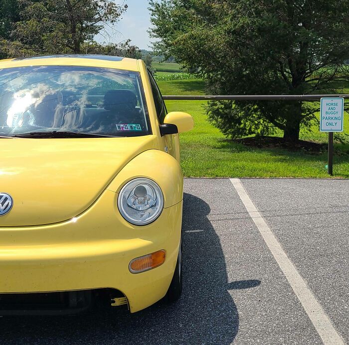 There's Always A Loophole