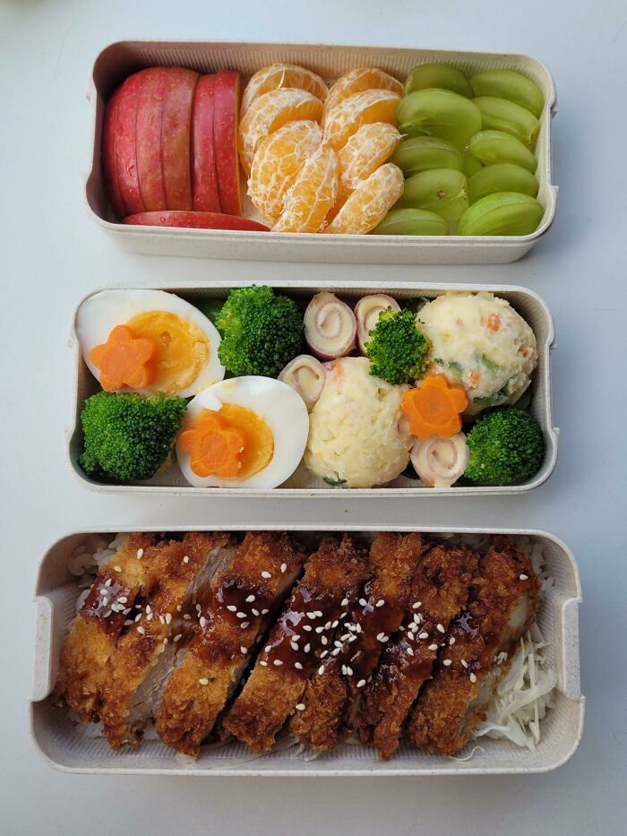 Tonkatsu Bento I Made For Lunch