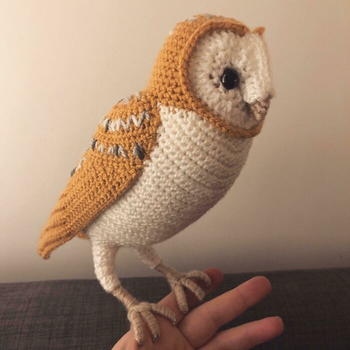 A Barn Owl