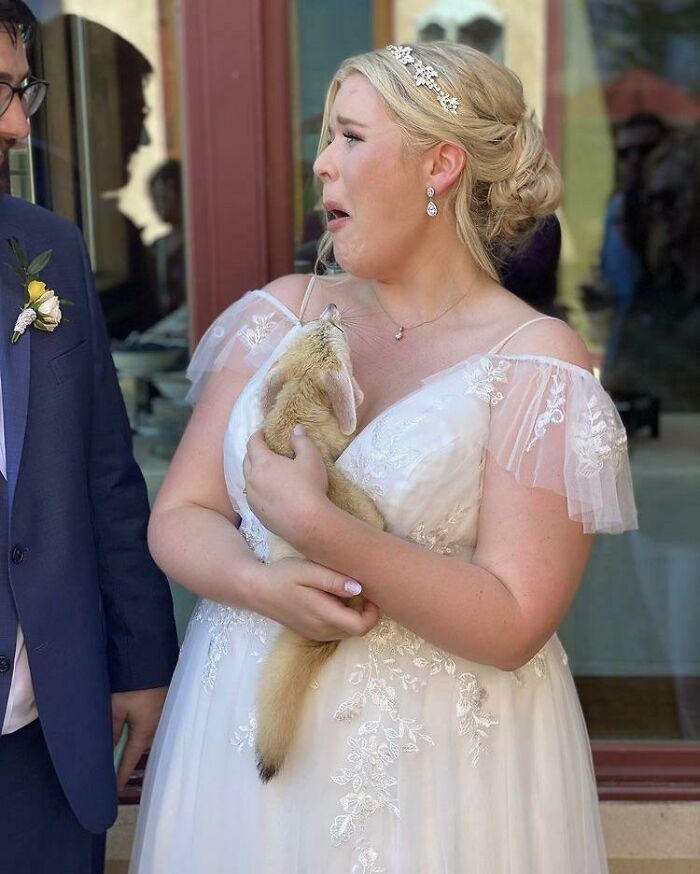 I Was Skeptical When My Husband Wanted A Petting Zoo At Our Wedding