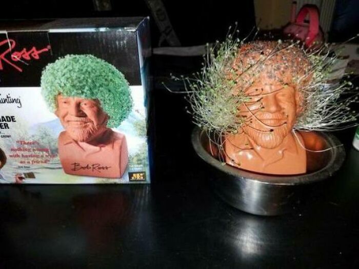 This Epic Bob Ross Chia Pet