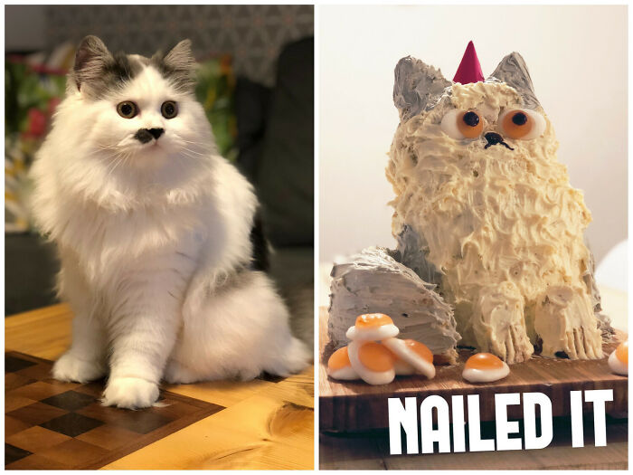 The First Cake I’ve Made In Years May Have Been A Bit Ambitious