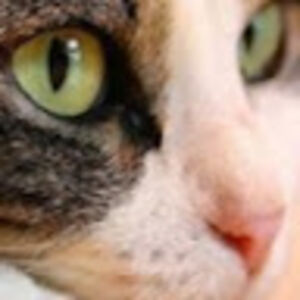 informedconsumer avatar