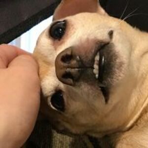 betseyriggins avatar