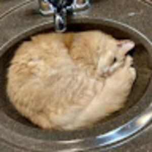 jamesdhopkins avatar