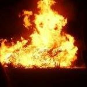 alison_g_m_hill avatar