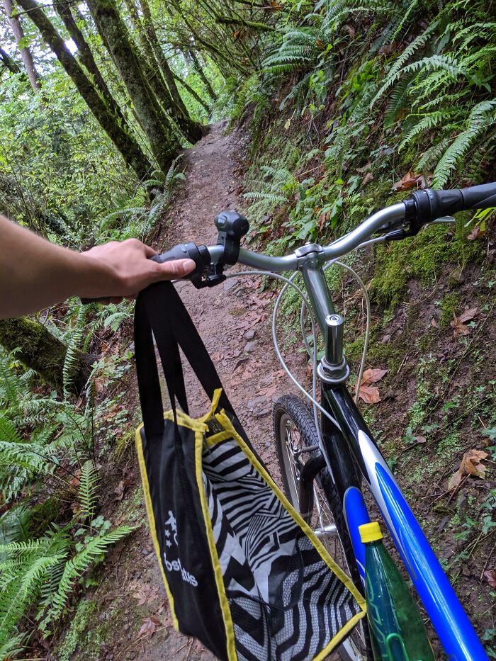 Postmates Sent Me Up A Mountain On A Bicycle In The Rain In The Middle Of The City. Portland Problems I Guess. Delivered A Berry Bowl From Psu To Apartments On Marquam Hill And It Sent Me Up A Hiking Trail