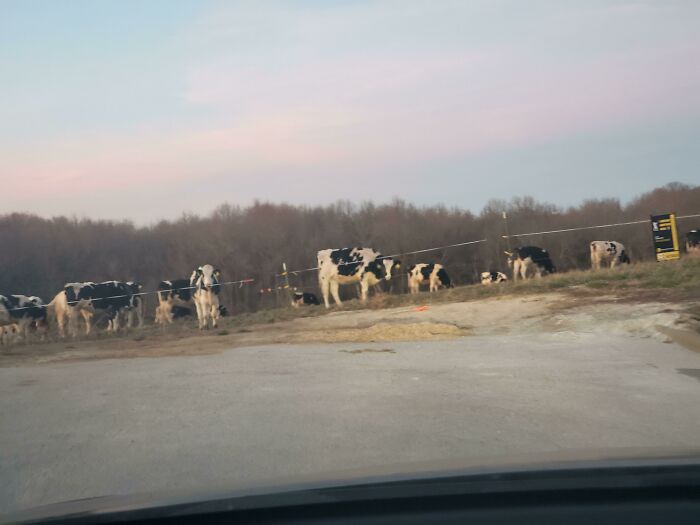 Postmates Brought Me To This "Hotspot" Today