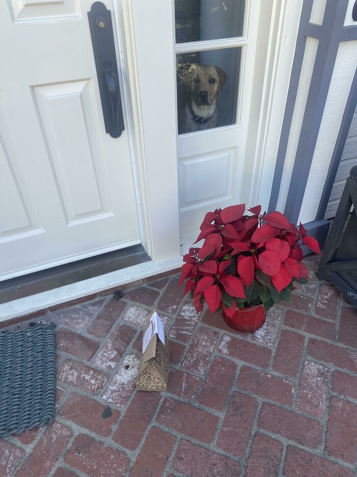 Un chico bueno me saludó hoy durante mi entrega