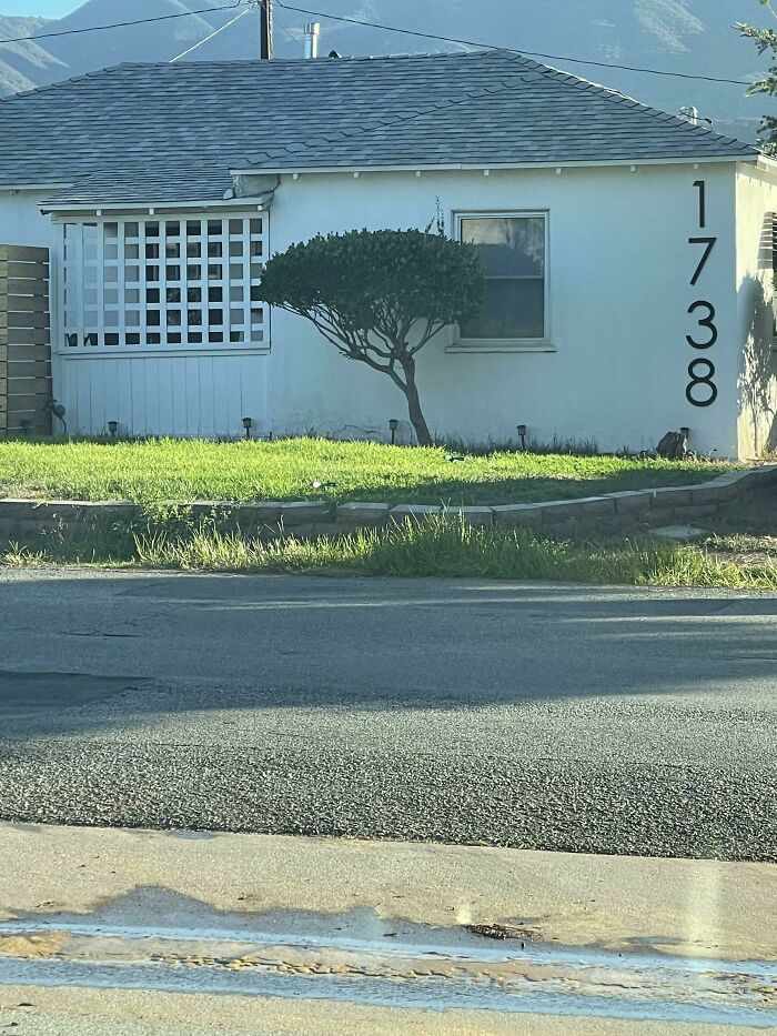 Delivery Driver Wet Dream…. Satisfyingly Visible Housing Numbers