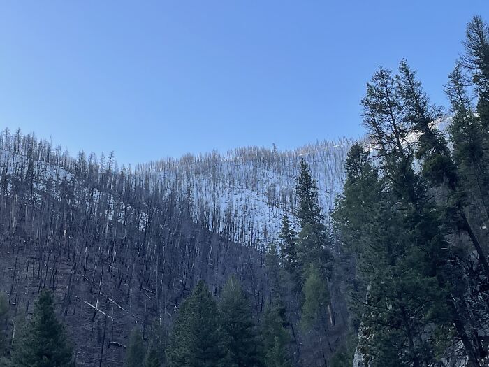 Welcome To The Mountains Of Idaho. This Is Around 40 Minutes Away From My Cabin, This View Given From The Hot Springs.