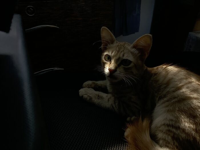 I Praise You, O Lordly Lord Of The Universe. May You Reign Forever