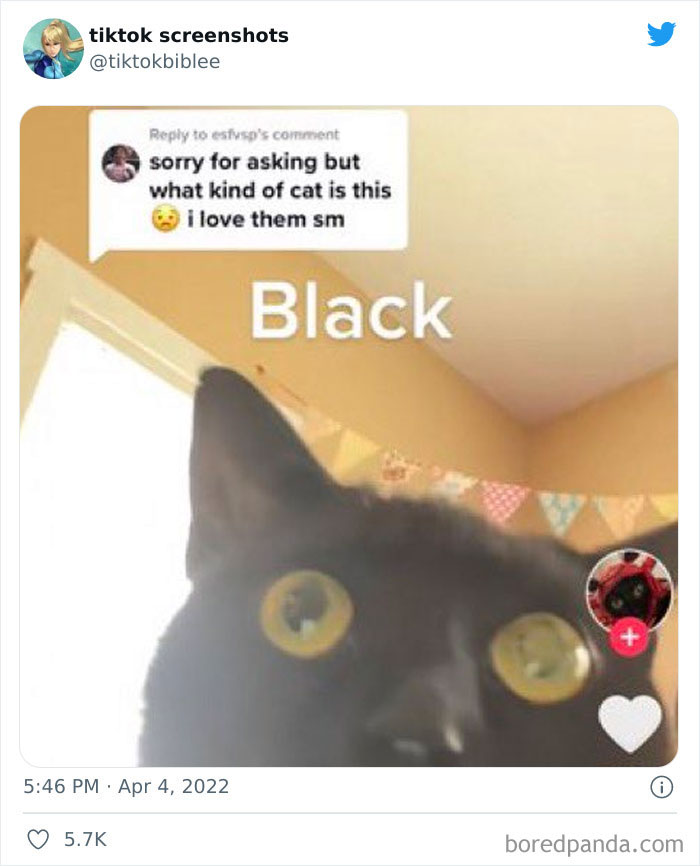 Funny-Tiktok-Screenshots