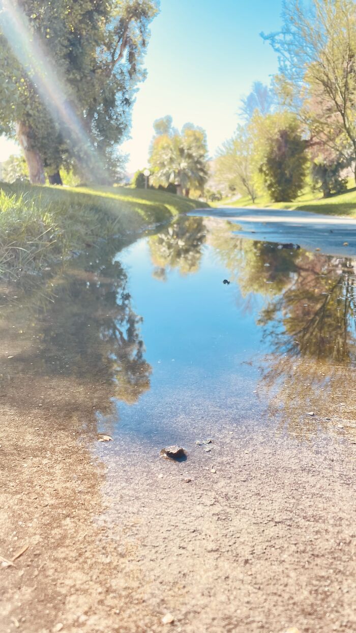 New Pictures That I Took (37 Pics)