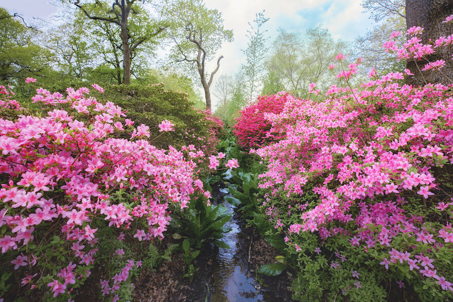 23 Reasons Why You Should Visit London During Spring