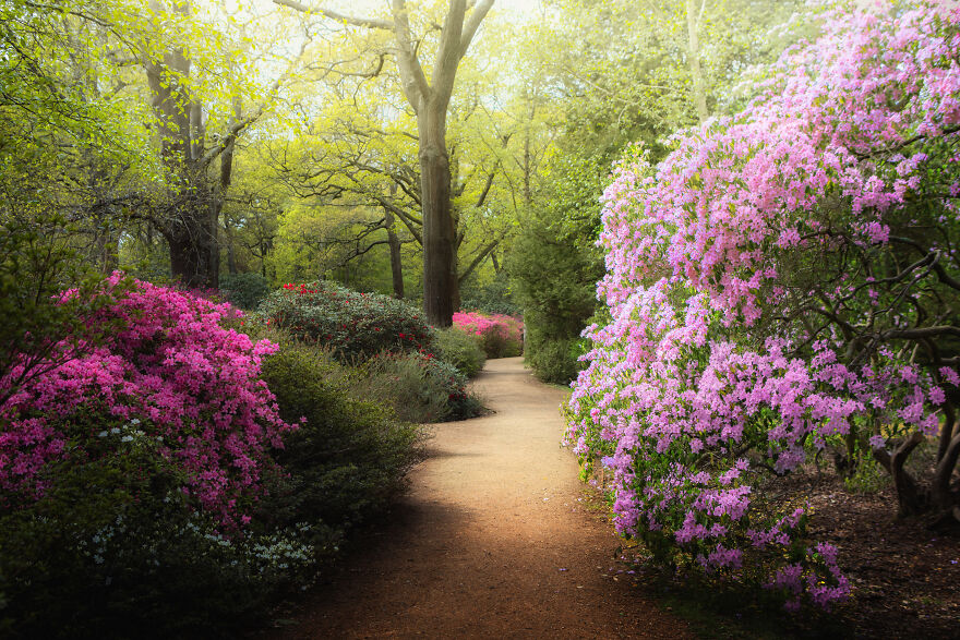 23 Reasons Why You Should Visit London During Spring