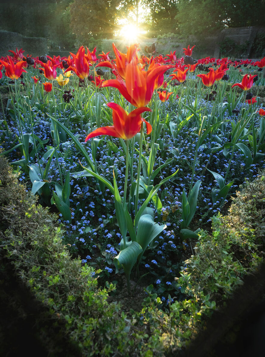 23 Reasons Why You Should Visit London During Spring