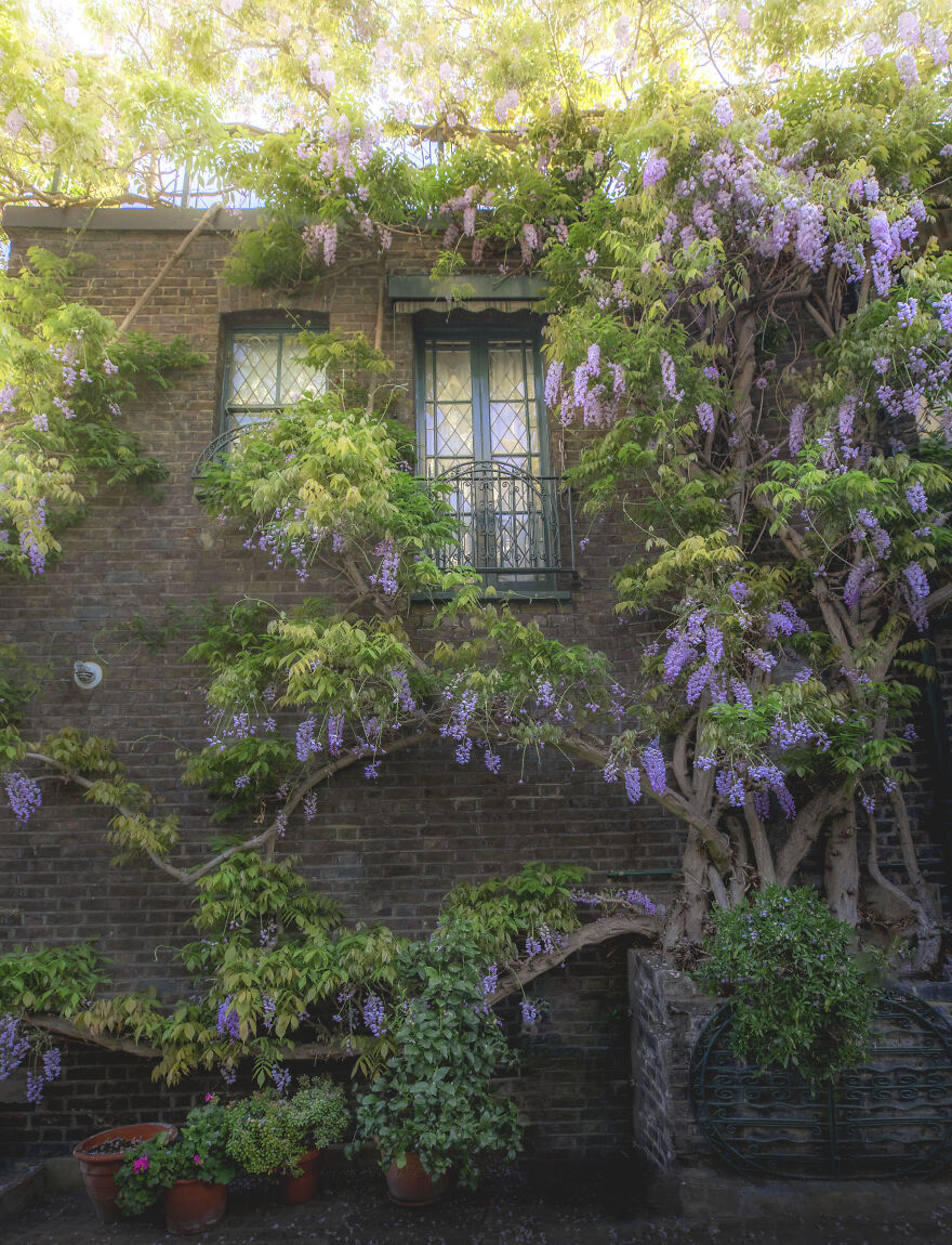 23 Reasons Why You Should Visit London During Spring