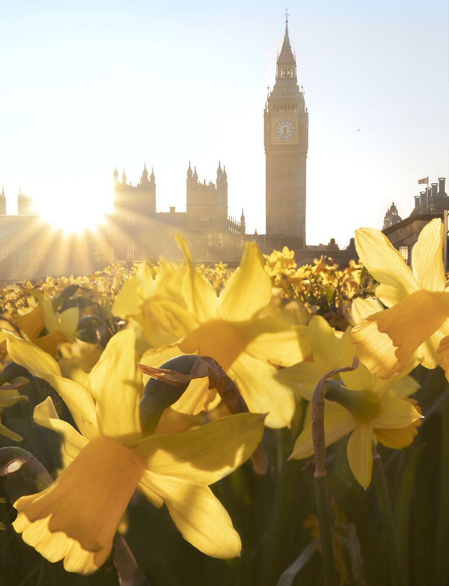 23 Reasons Why You Should Visit London During Spring