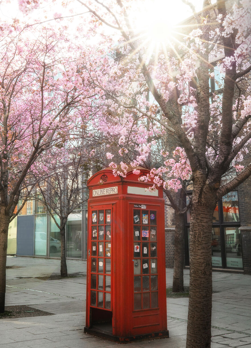 23 Reasons Why You Should Visit London During Spring