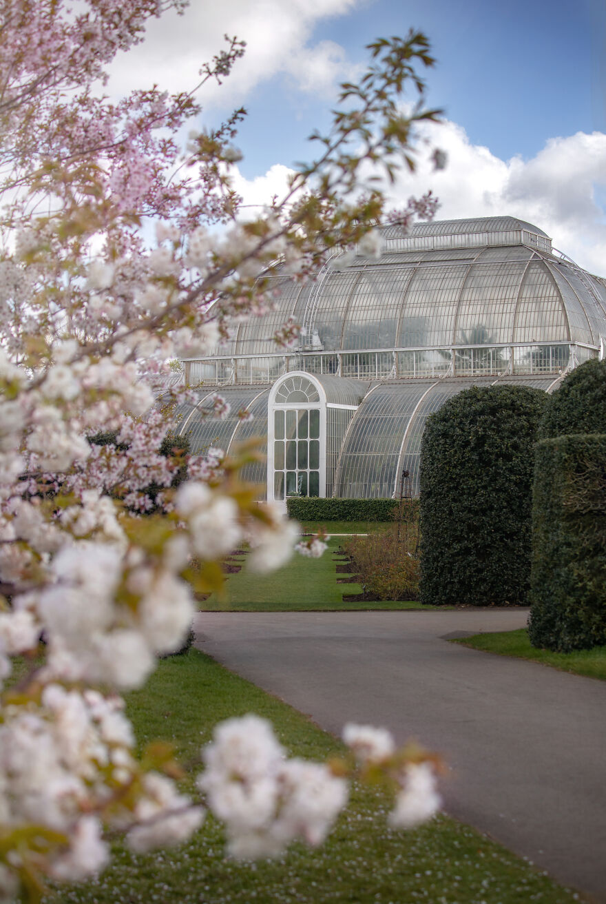 23 Reasons Why You Should Visit London During Spring