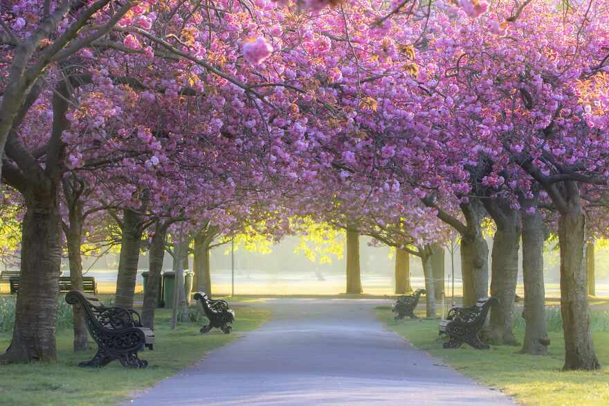 23 Reasons Why You Should Visit London During Spring