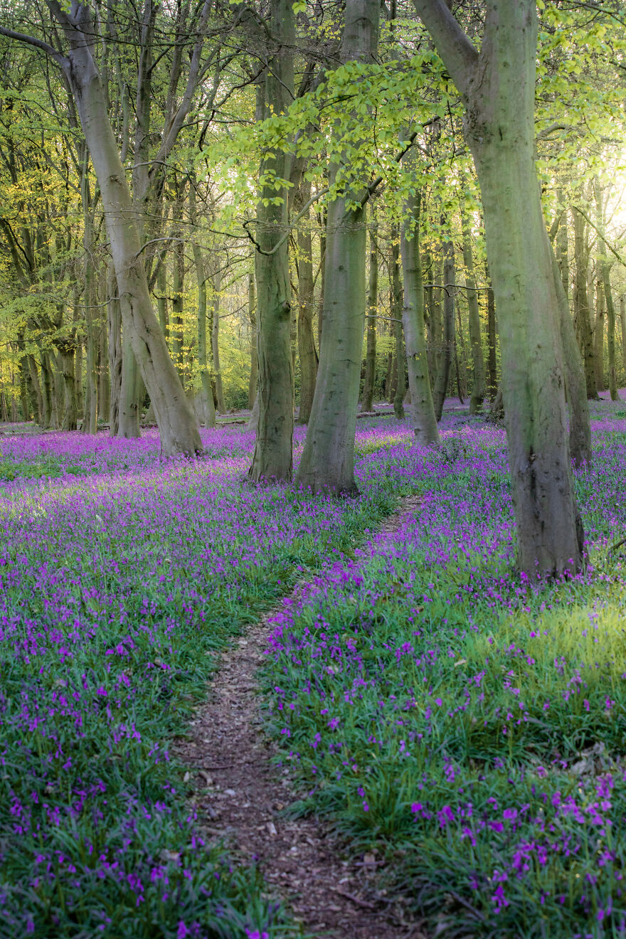 23 Reasons Why You Should Visit London During Spring