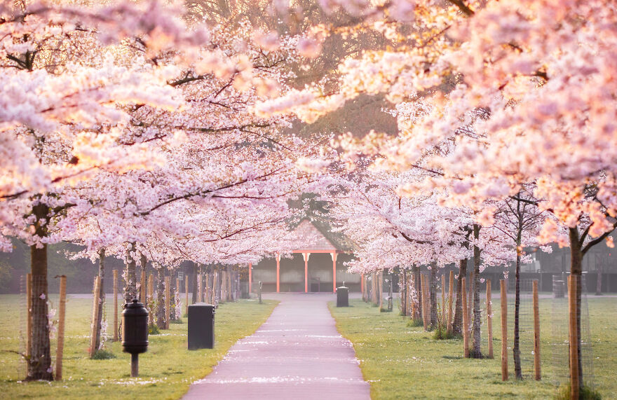 23 Reasons Why You Should Visit London During Spring