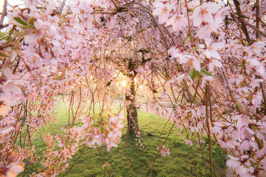 23 Reasons Why You Should Visit London During Spring