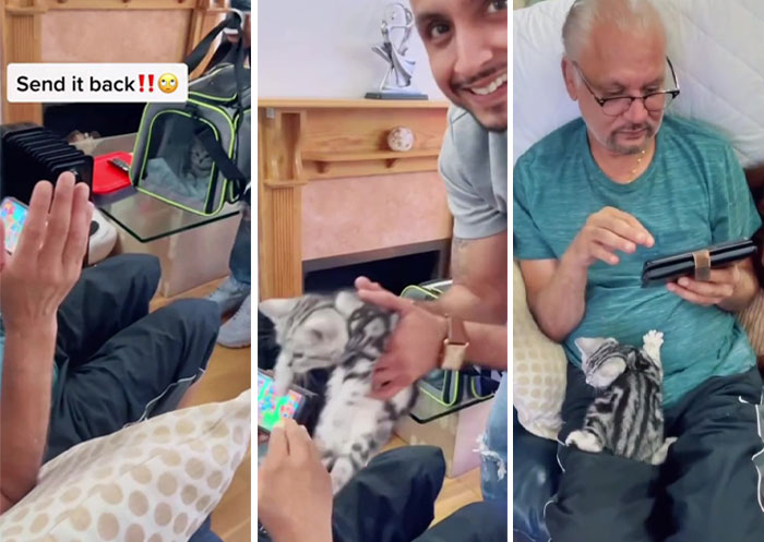 Dad Who Dislikes Cats Became Obsessed With The One His Son Brought Home, Now They&rsquo;re Inseparable