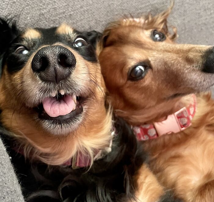 Too Hot So We’ll Just Enjoy The Weather Inside!