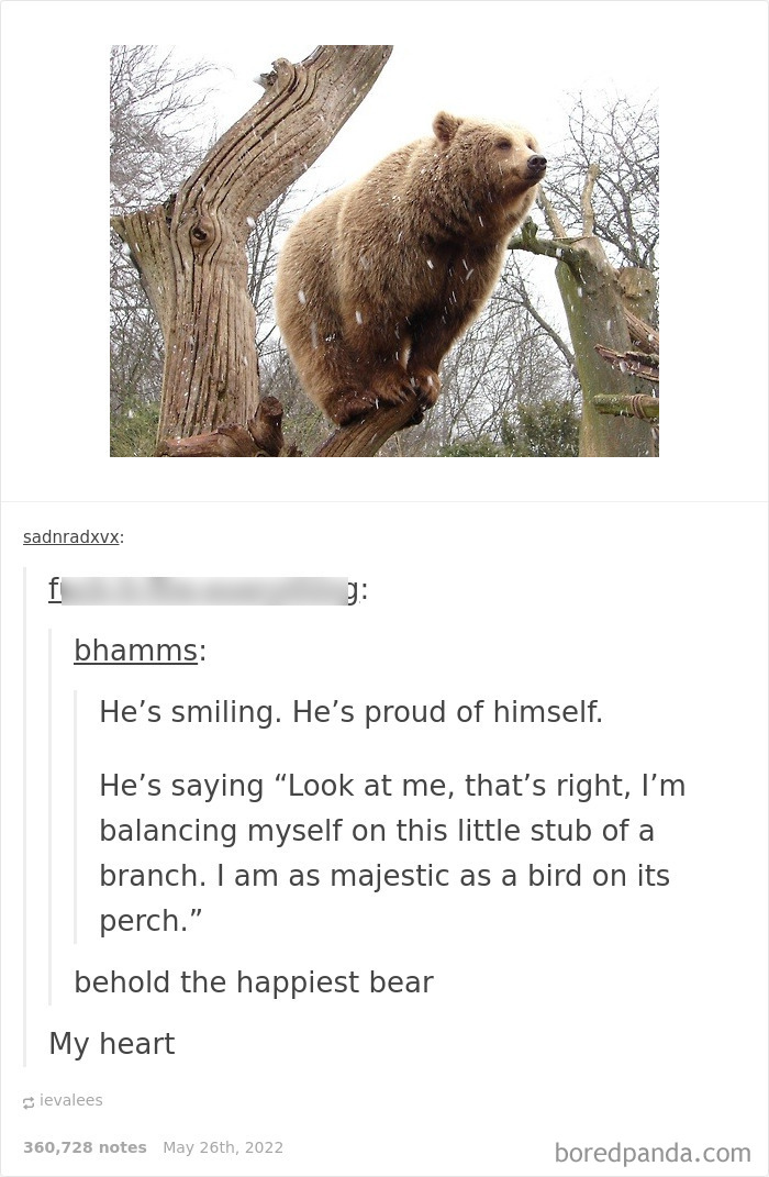 Weird-Side-Of-Tumblr-Posts