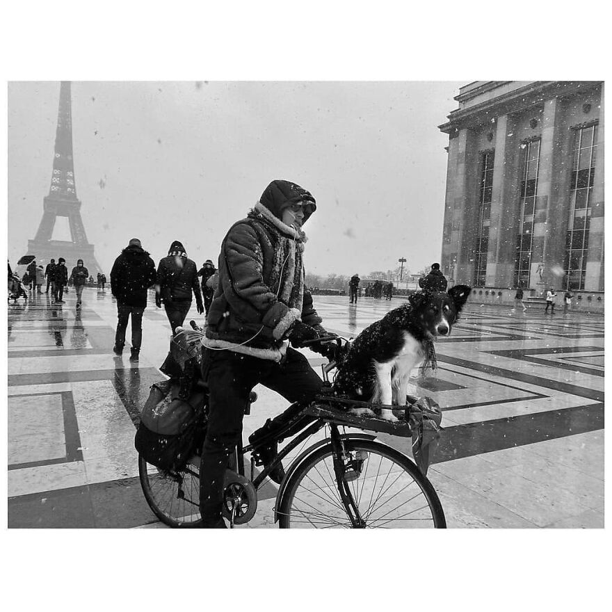 Here Are 62 Powerful Animal Images From Instagram "The Decisive Moments Magazine"