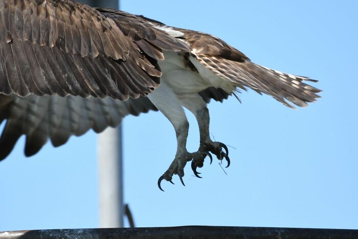 Sadly, This Is The Best Picture I Have Ever Taken