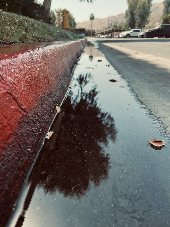 New Pictures That I Took (37 Pics)