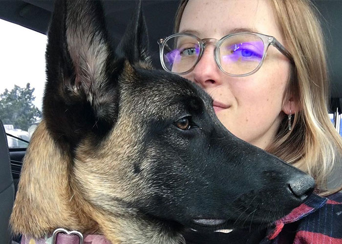 Eva The Dog Heroically Saved Her Owner&rsquo;s Life During Mountain Lion Attack