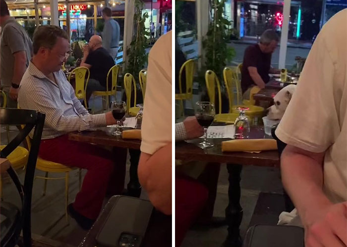 3,8 Millones de personas adoran este video de un hombre que tiene la cena m&aacute;s dulce con su perro