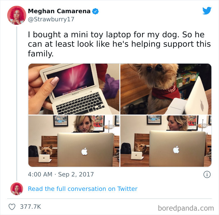 Funny-Cat-Dog-Tweets