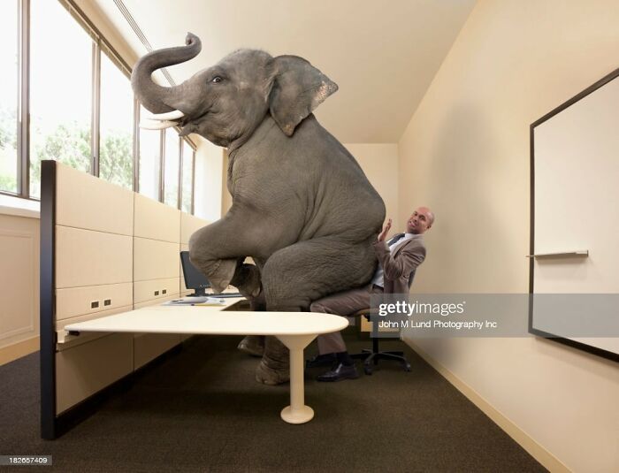 Weird stock image of an elephant sitting on a desk in an office with a surprised man.