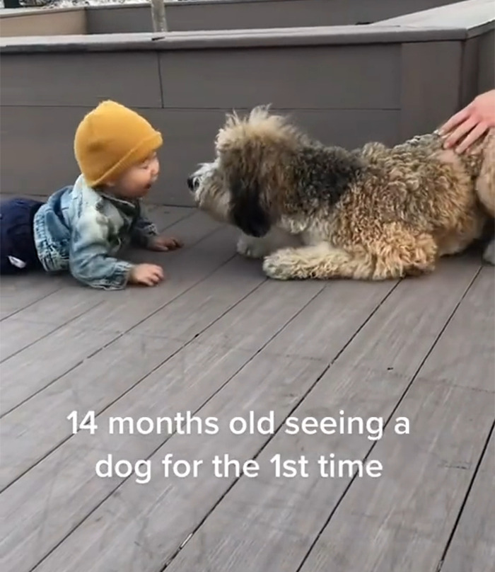 Unexpected-Wholesome-Situations