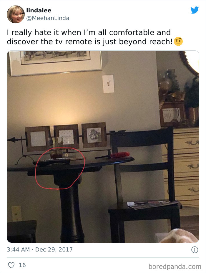 Funny-Middle-Class-Problem-Tweets