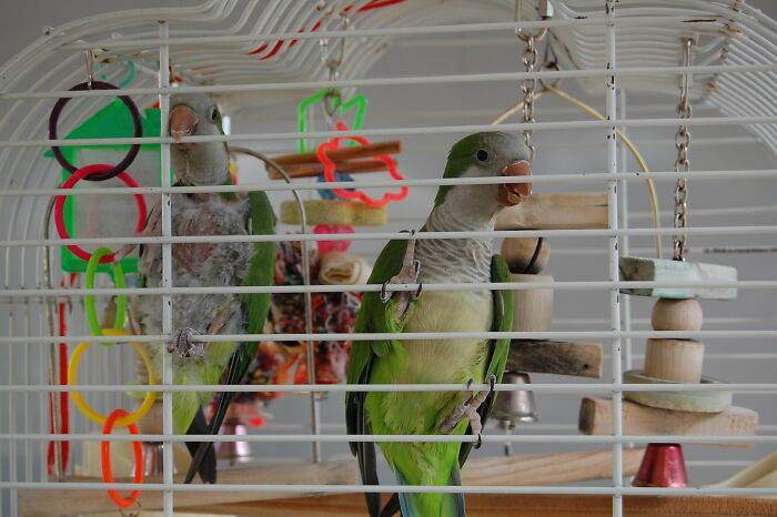 20 Personas que tuvieron experiencias escalofriantes e inexplicables y las compartieron en este grupo online