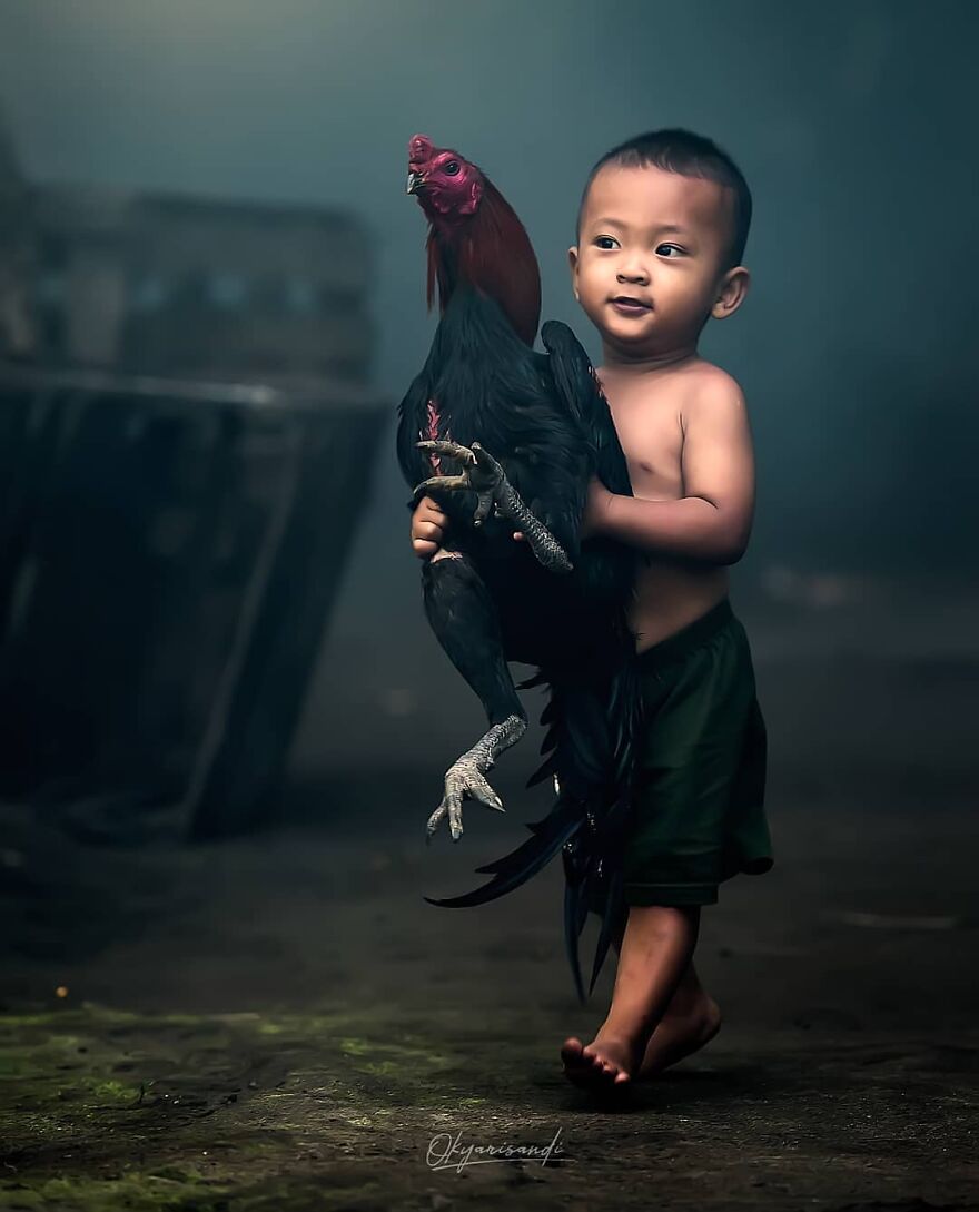 Here Are 62 Powerful Animal Images From Instagram "The Decisive Moments Magazine"