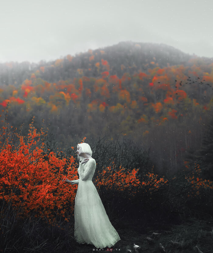 A World Where Dreams Come True (19 Pics)