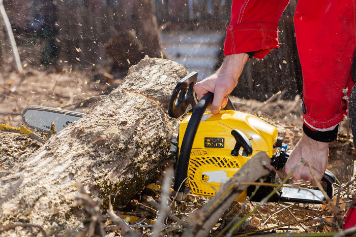 A Photographer Working At An Altitude (36 Pics)