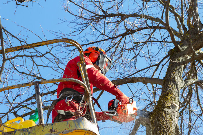 A Photographer Working At An Altitude (36 Pics)