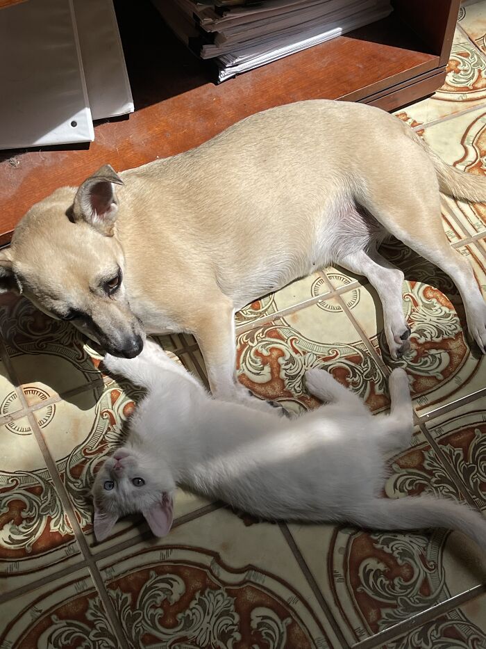 Mama And “Her” Baby!