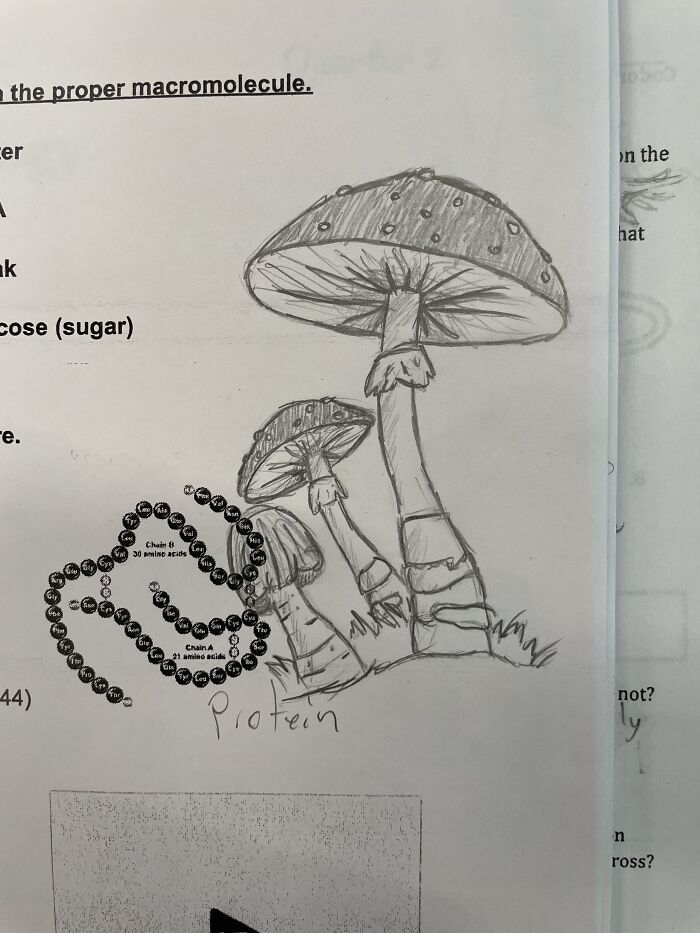 This Is From Quite A While Ago But I Still Find It Cute